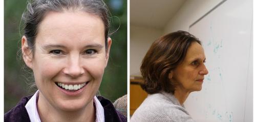 Michele Belot - WinE Research